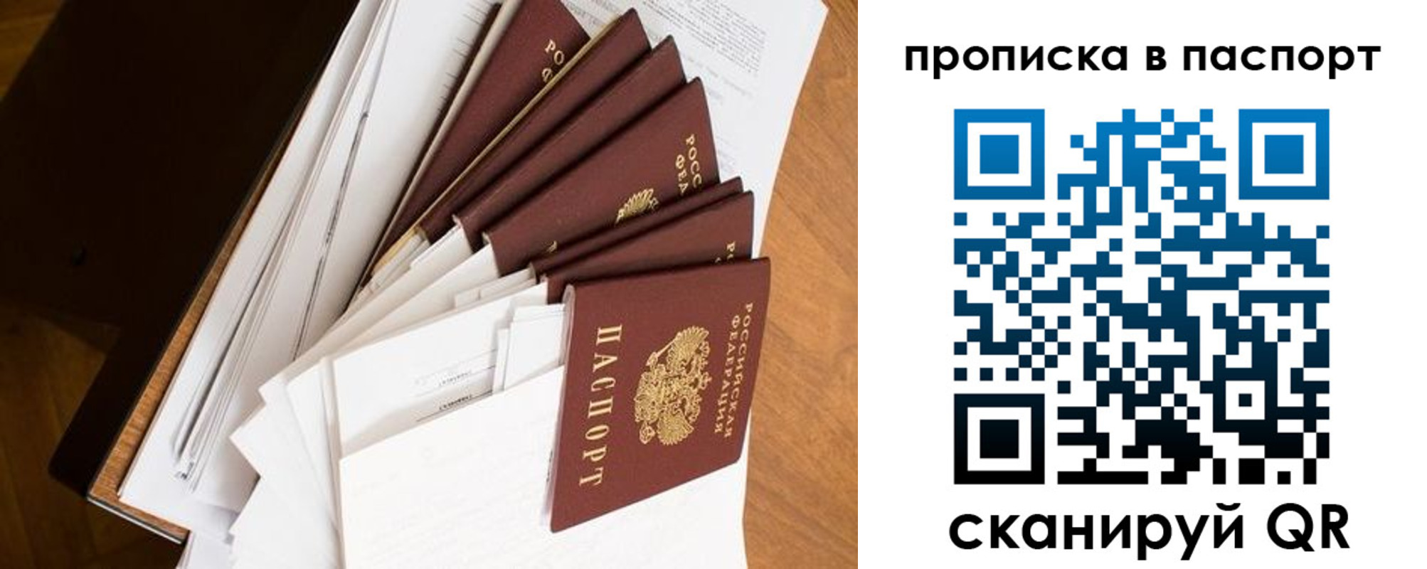 прописка 2025 в Дмитрове